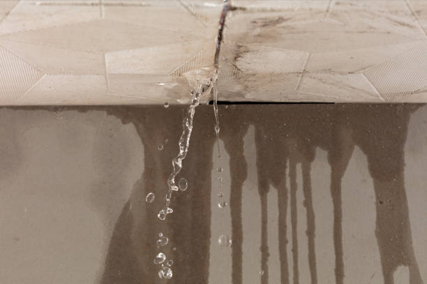 Professional Burst Pipe Cleanup technician working in Wolcott, CO